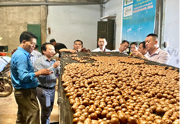 Đoàn công tác số 03 của Huyện ủy làm việc với Đảng ủy xã Ea Hiao